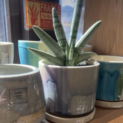 Instagramに投稿された画像