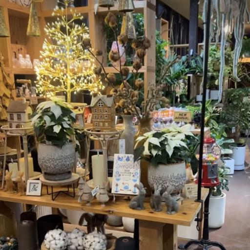 Instagramに投稿された画像