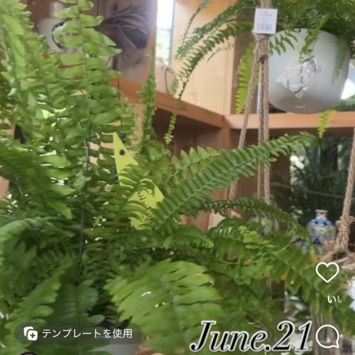 Instagramに投稿された画像
