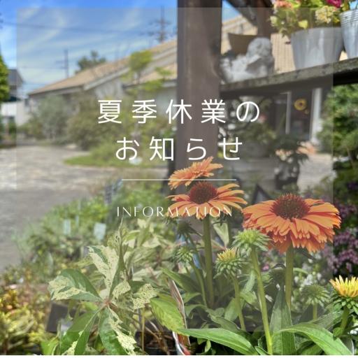 Instagramに投稿された画像