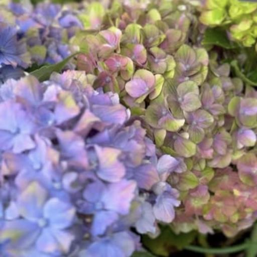 Instagramに投稿された画像