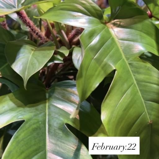 Instagramに投稿された画像