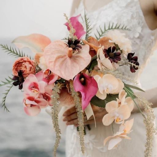 カット苗✨ピンクオパリナ錦❤️ カット苗 | STORES