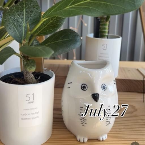 Instagramに投稿された画像