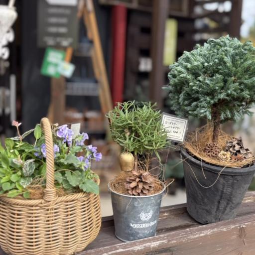 Instagramに投稿された画像