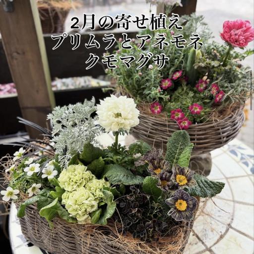 Instagramに投稿された画像