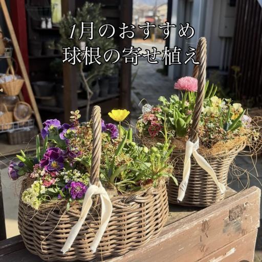 Instagramに投稿された画像