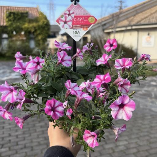 Instagramに投稿された画像