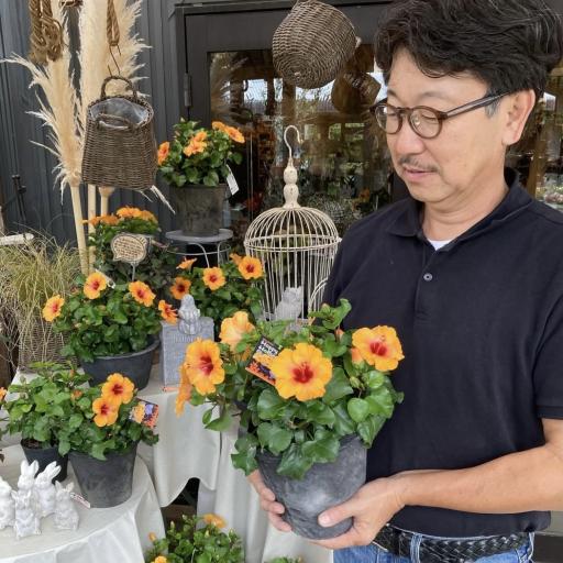 Instagramに投稿された画像
