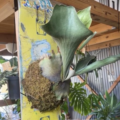 Instagramに投稿された画像