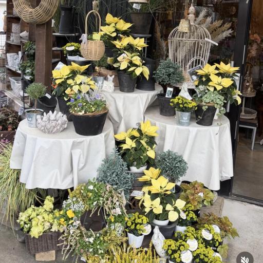 Instagramに投稿された画像