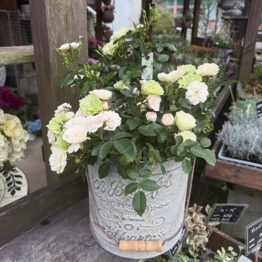 Instagramに投稿された画像