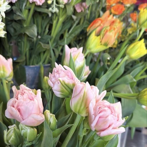 Instagramに投稿された画像