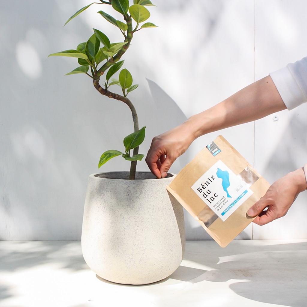 【湖の恵】Benir du lac 有用微生物入り有機特殊肥料 添加タイプ350g/送料別