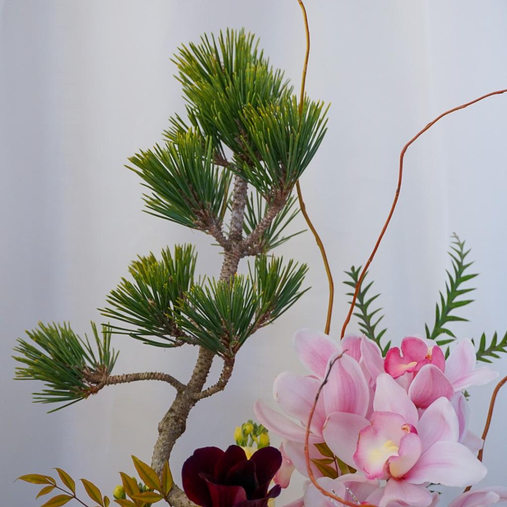 【お正月アレンジ】■トール/送料込み※着日指定なしのご注文で29日のお届け