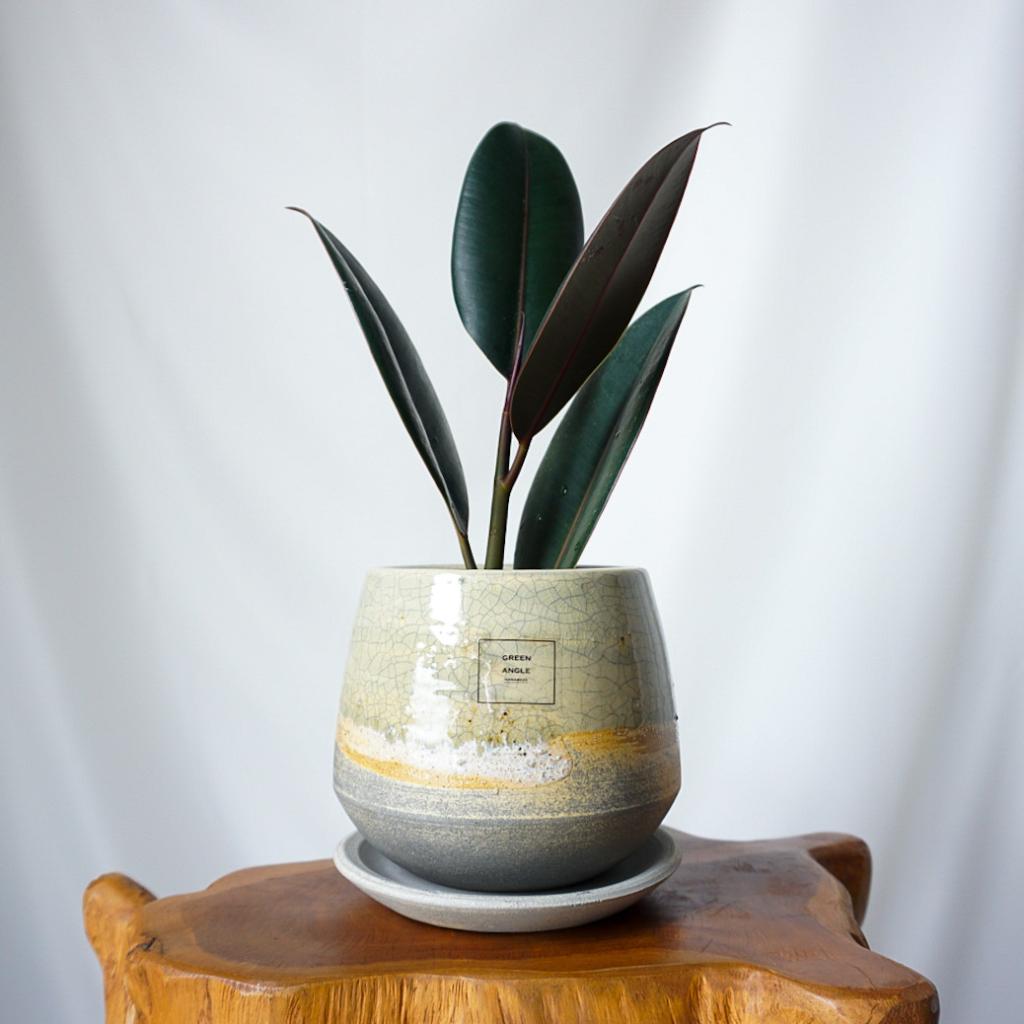 【お正月アレンジ】イエロー×オレンジ■信楽焼の器/送料込み※着日指定なしのご注文で29日のお届け