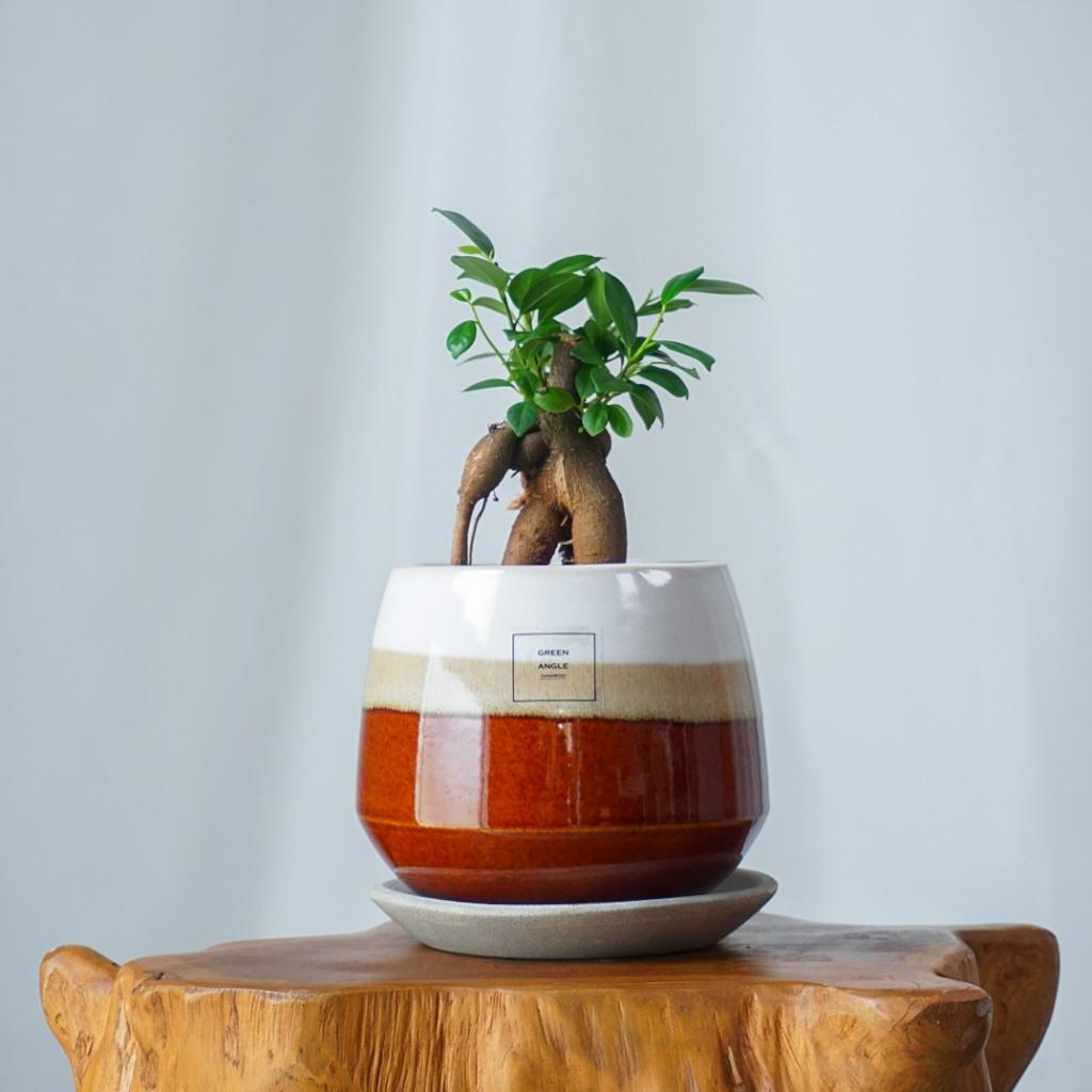 【お正月アレンジ】レッド×パープル■信楽焼の器/送料込み※着日指定なしのご注文で29日のお届け