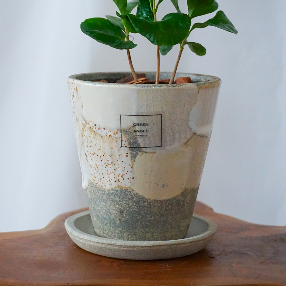 【コーヒーノキ】信楽焼き*複数商品/送料込み