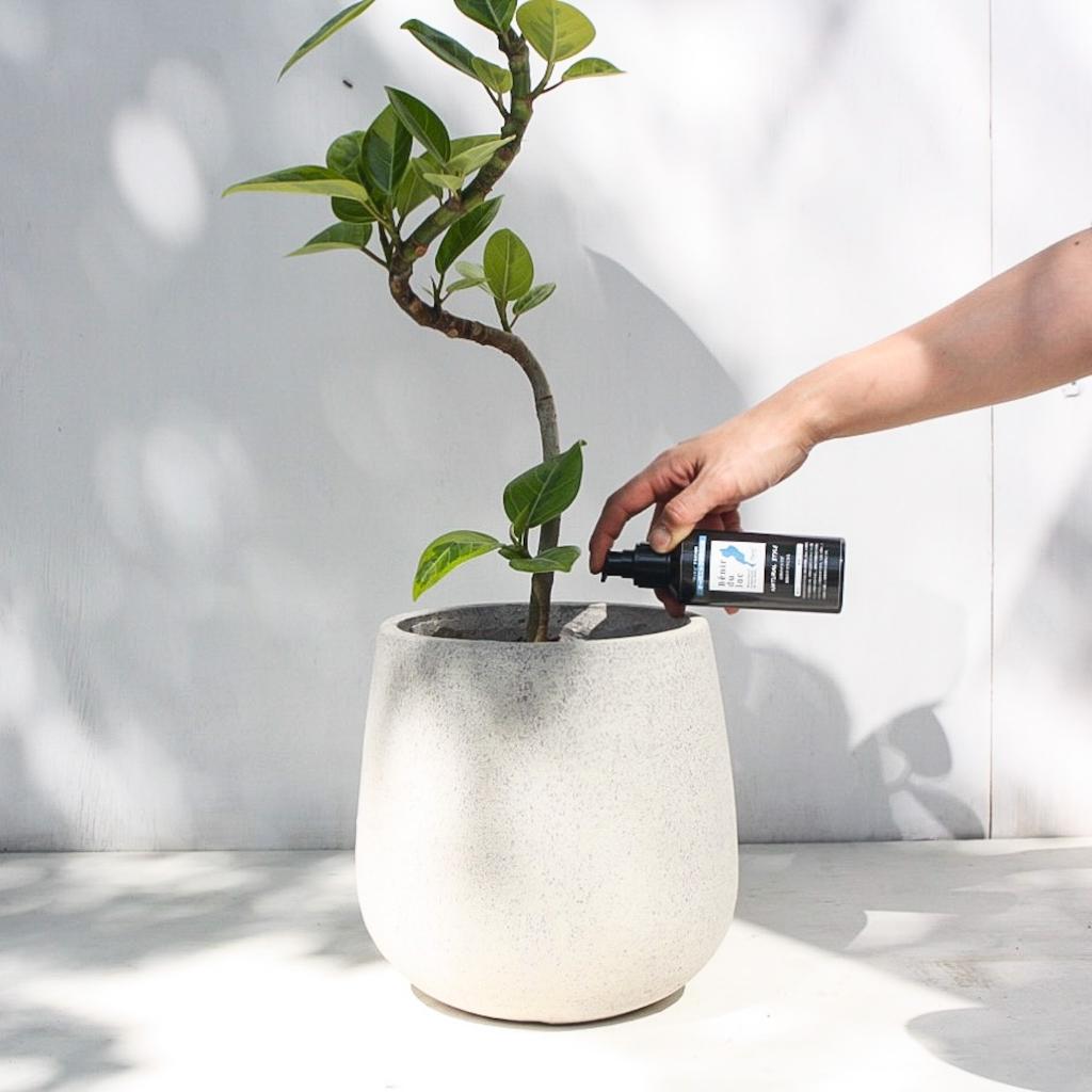 【湖の恵】有機植物活力液Plants+150m/送料別